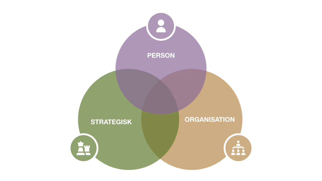 VENN-diagram, der viser person, strategisk og organisation.