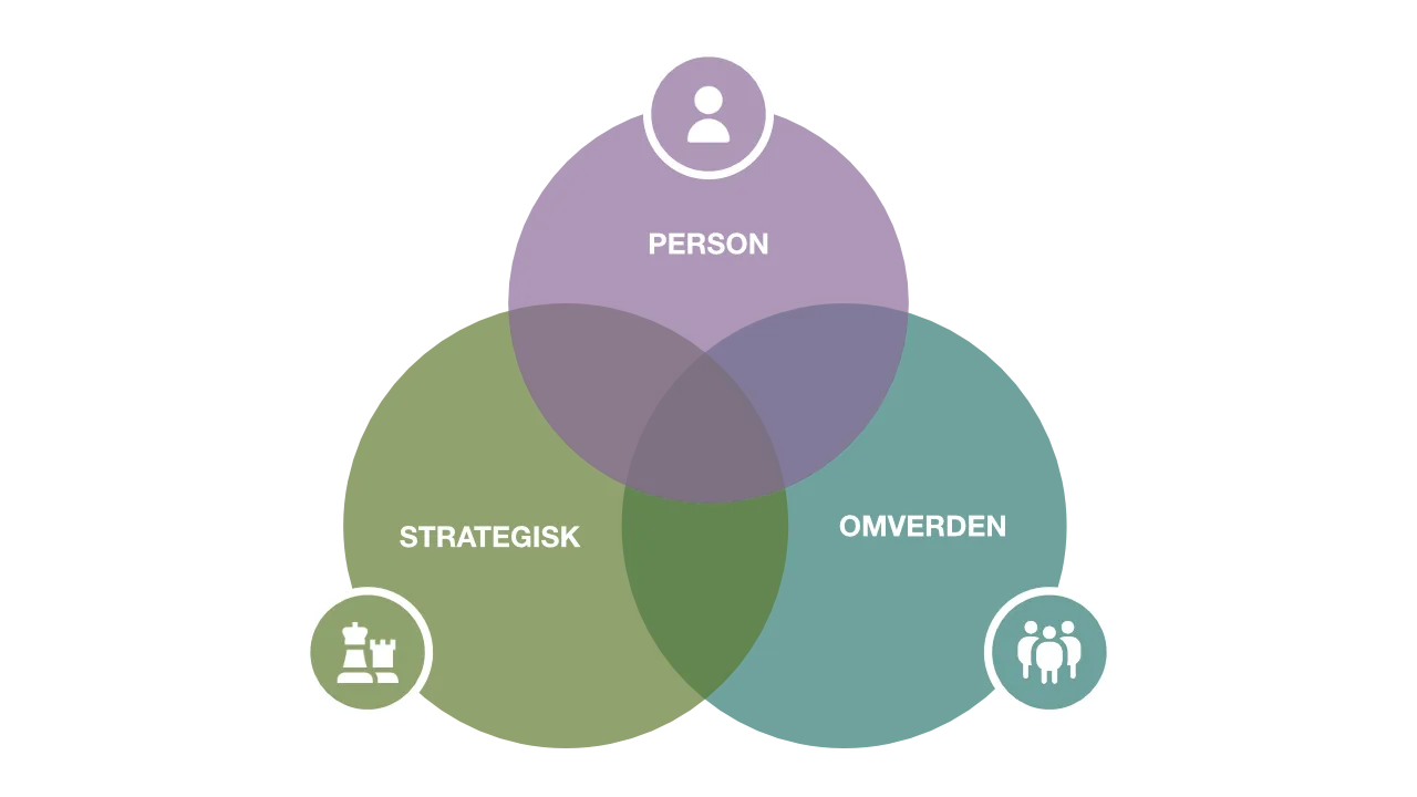 VENN-diagram, der viser person, strategisk og omverden.